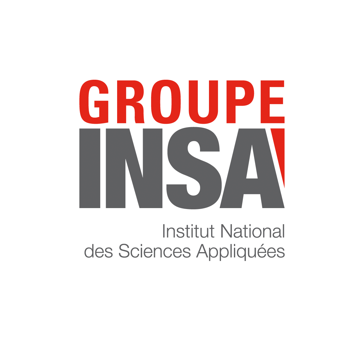 Logo groupe INSA
